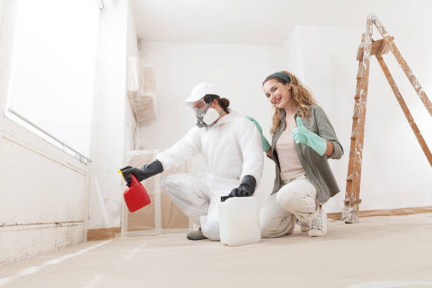 Best Mold Odor Removal Services  in Sumas, WA